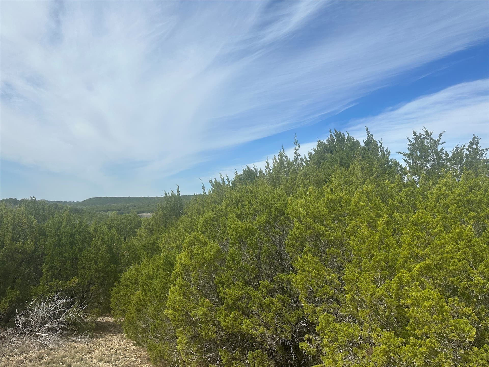 2.01 acres in Palo Pinto County - photo 7