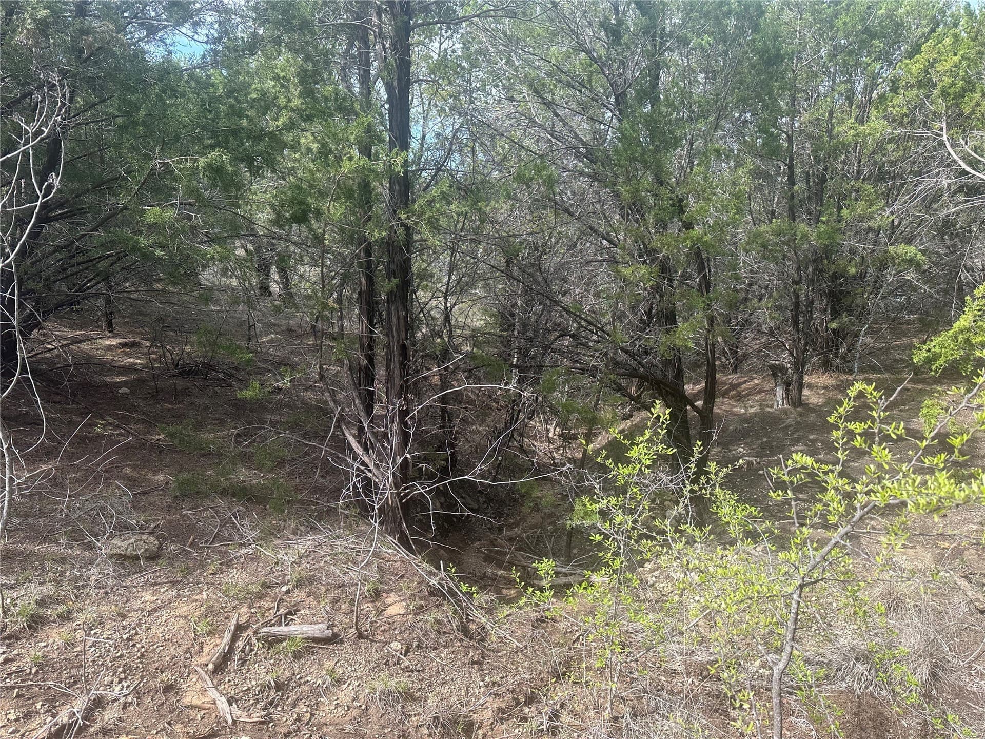 2.01 acres in Palo Pinto County - photo 5