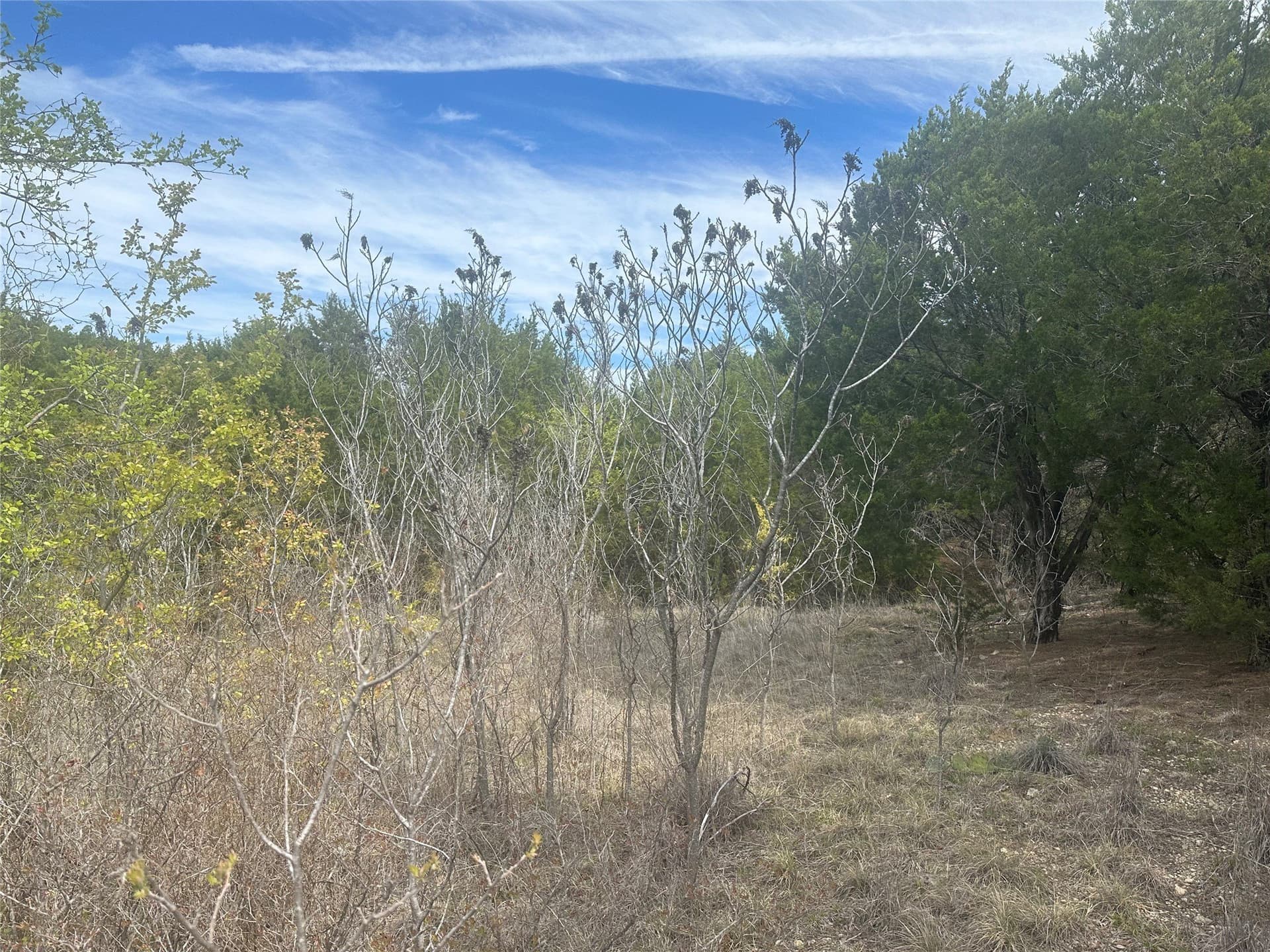 2.01 acres in Palo Pinto County - photo 3