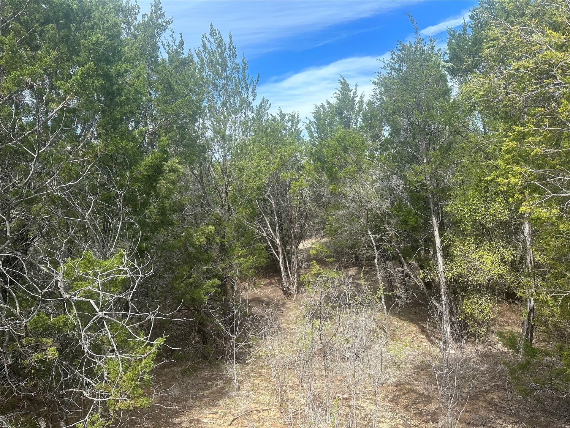 2.01 acres in Palo Pinto County - photo 6