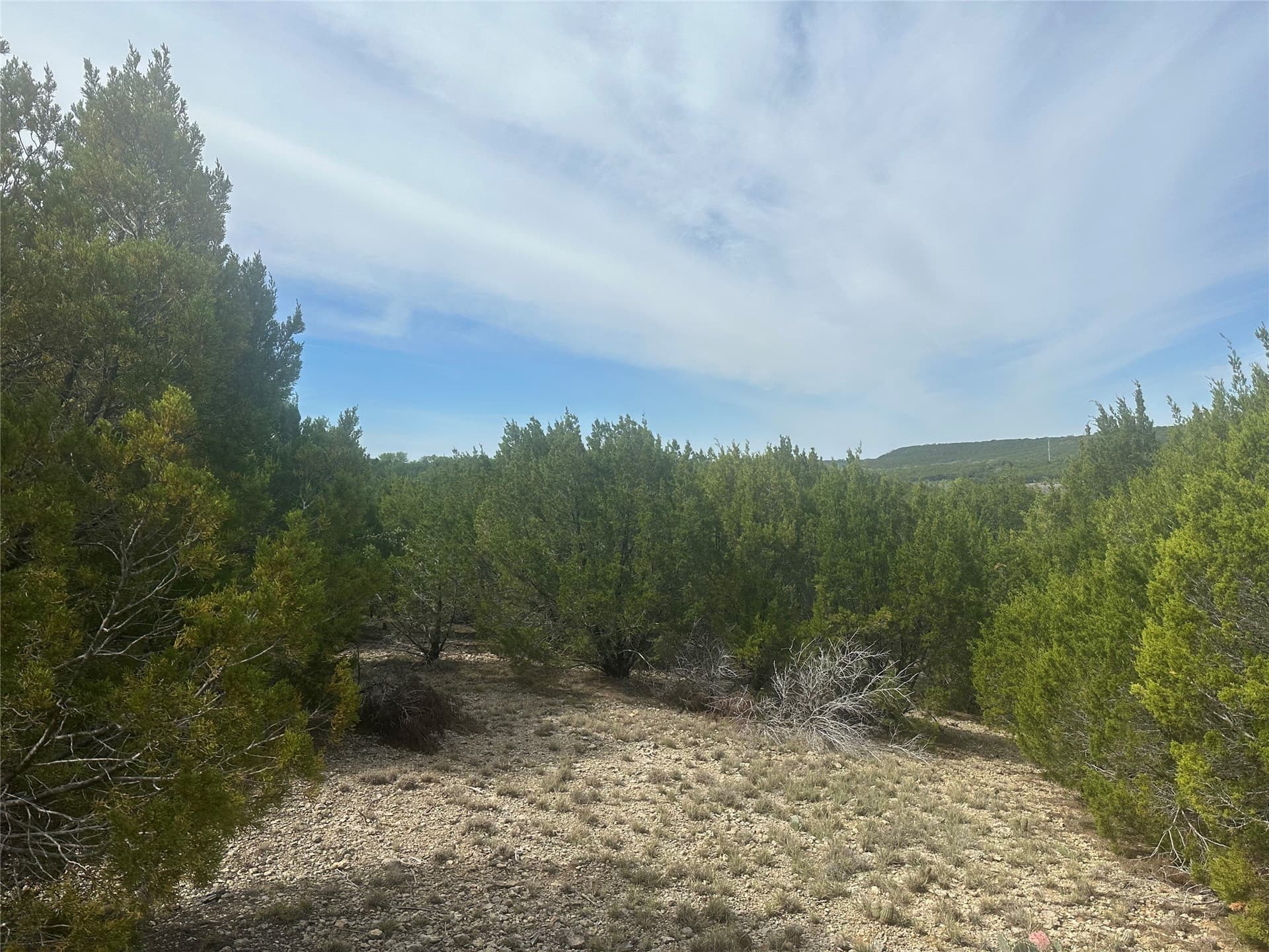 2.01 acres in Palo Pinto County - photo 8