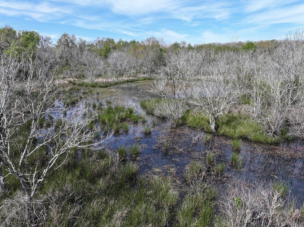 560 acres in Limestone County gallery image 3