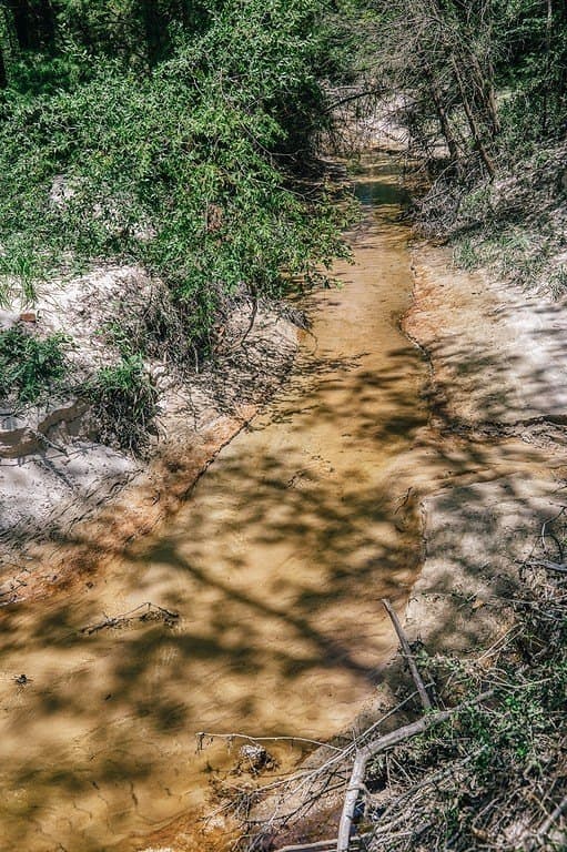 560 acres in Limestone County - photo 10