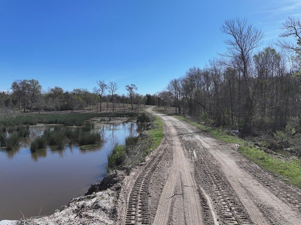 560 acres in Limestone County - photo 8