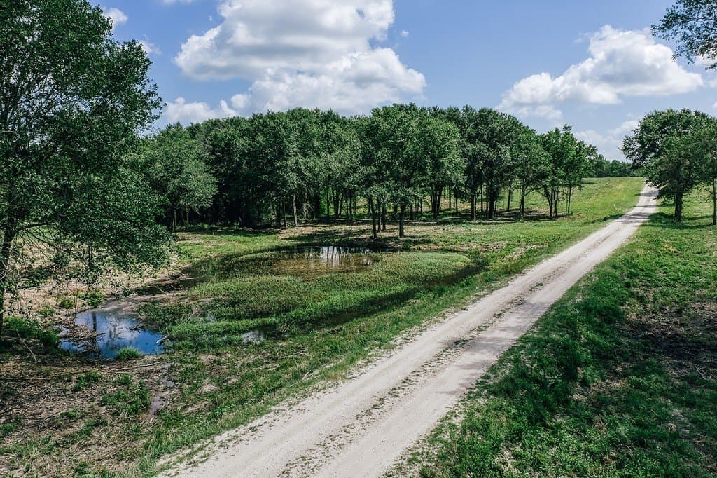 560 acres in Limestone County - photo 2