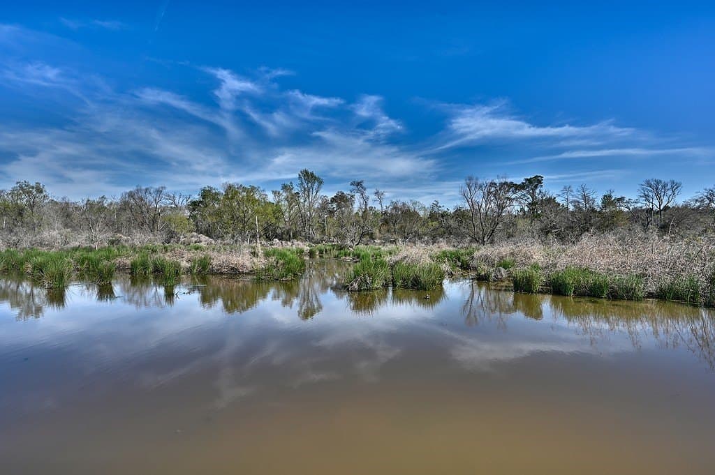 560 acres in Limestone County featured view