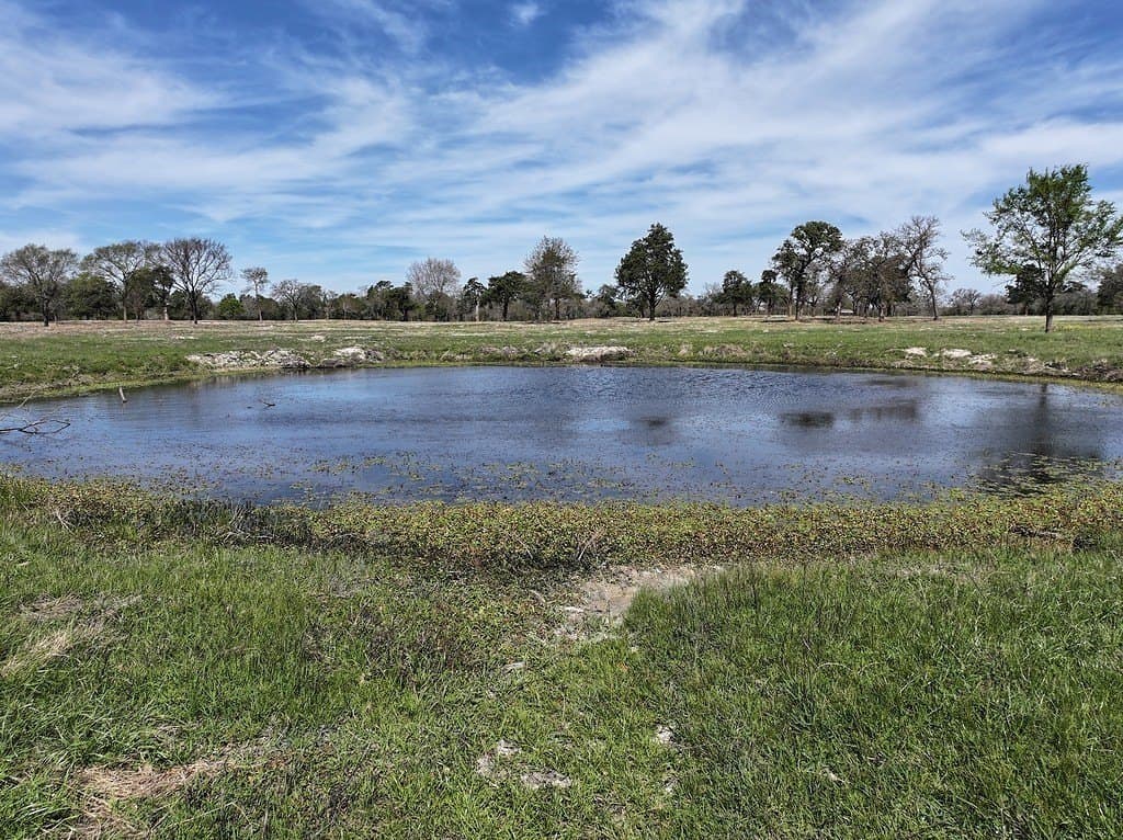 560 acres in Limestone County gallery image 2