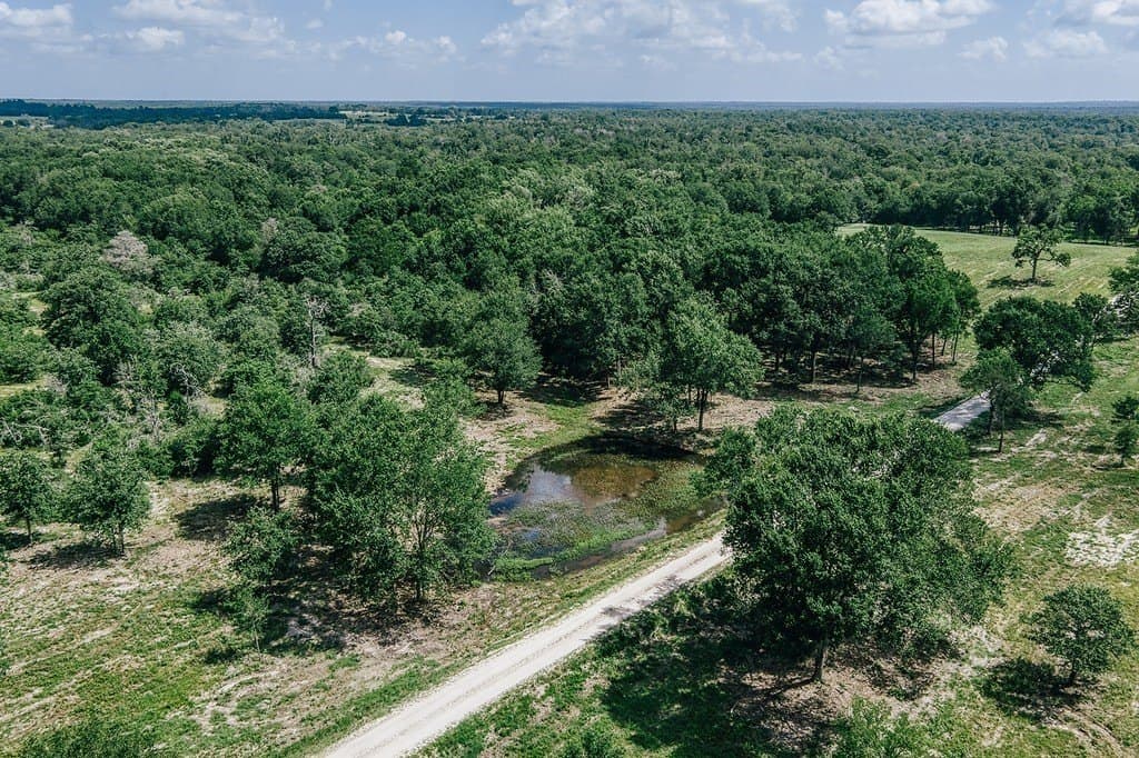 560 acres in Limestone County
