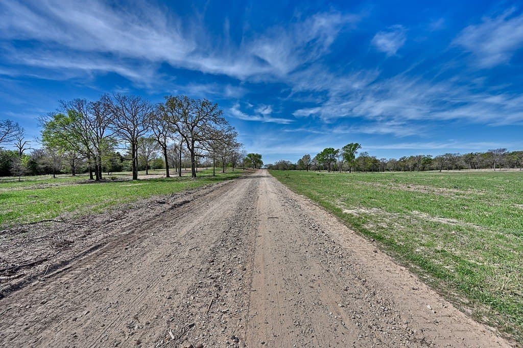560 acres in Limestone County gallery image 4