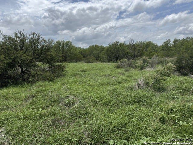 30.3 acres in Zavala County