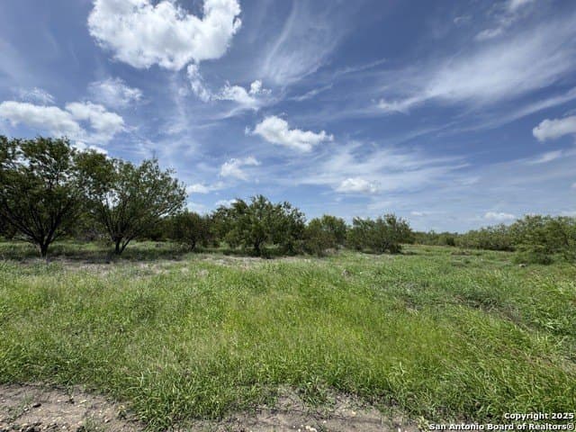 30.3 acres in Zavala County gallery image 4