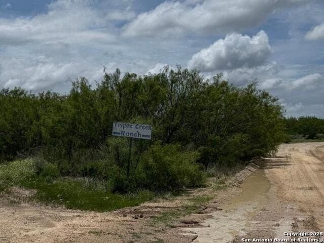 30.3 acres in Zavala County gallery image 3