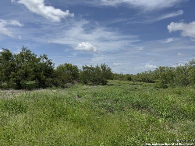 30.3 acres in Zavala County featured view