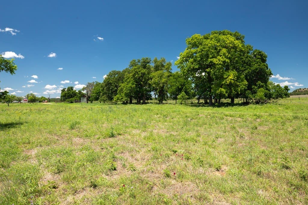 10.18 acres in Gillespie County - photo 6