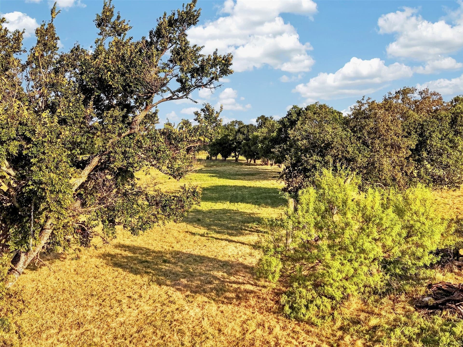 32.35 acres in Denton County - photo 24