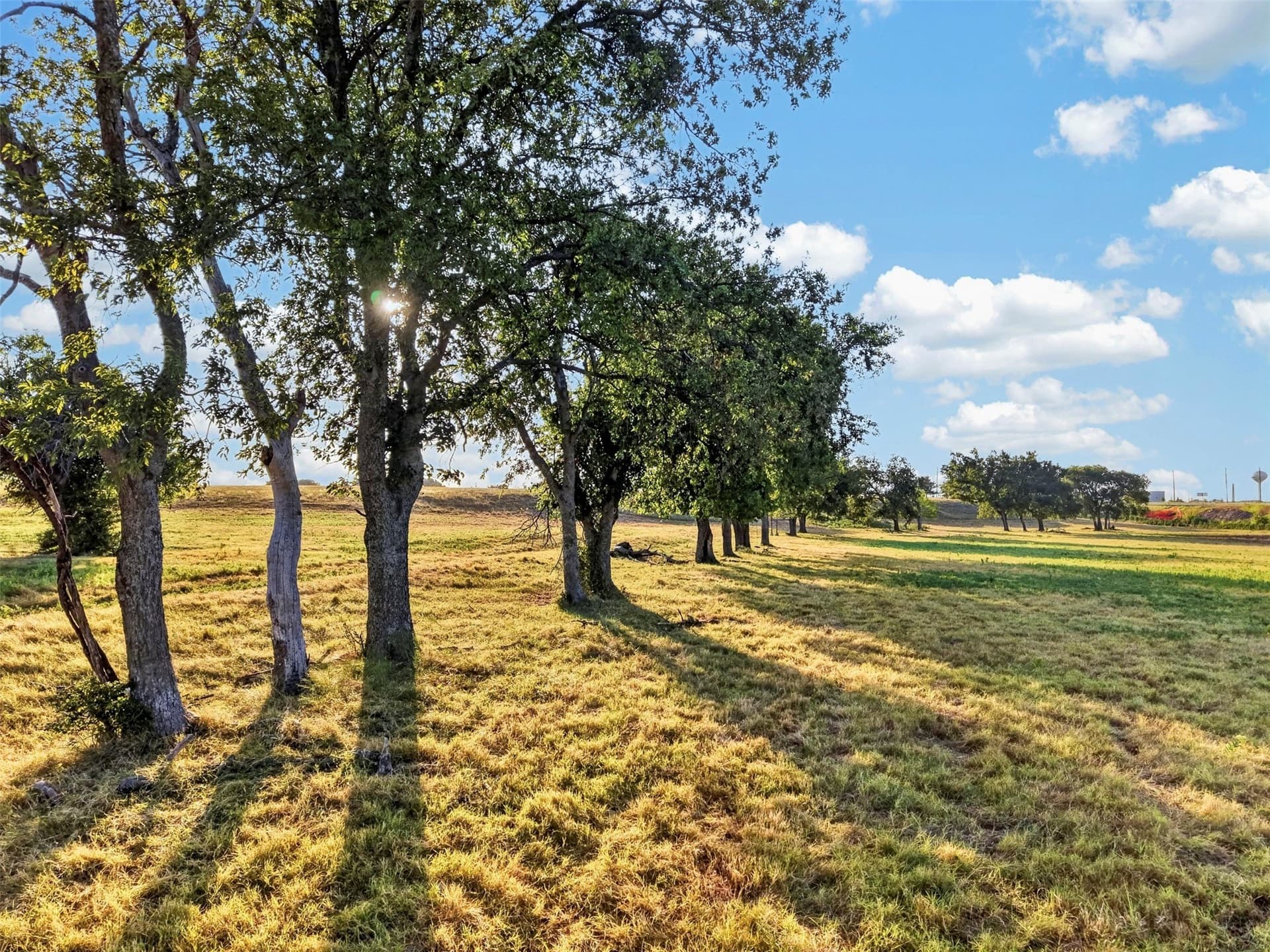32.35 acres in Denton County - photo 14