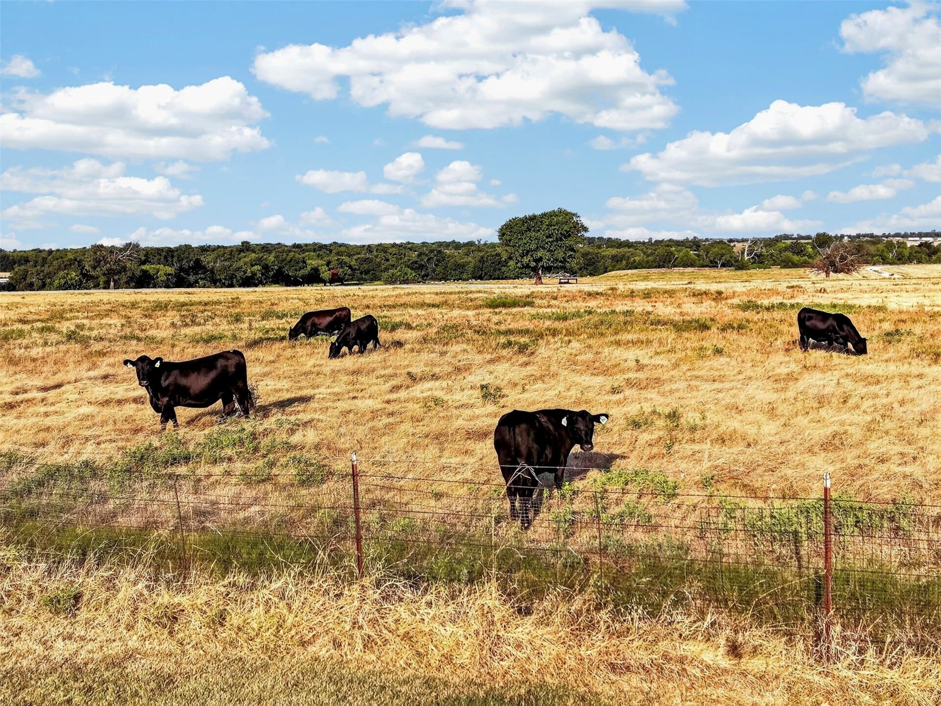 32.35 acres in Denton County - photo 22