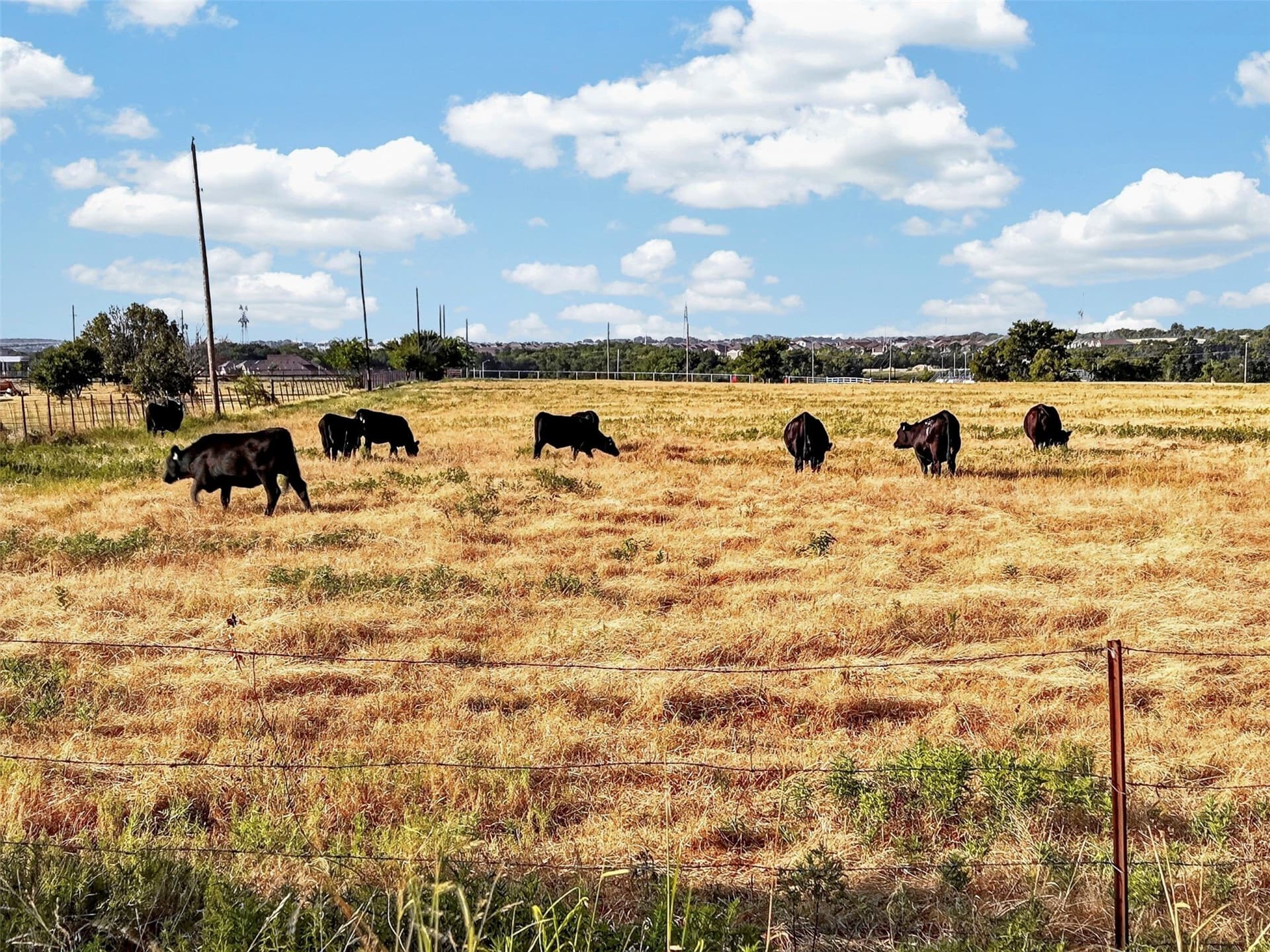 32.35 acres in Denton County - photo 26