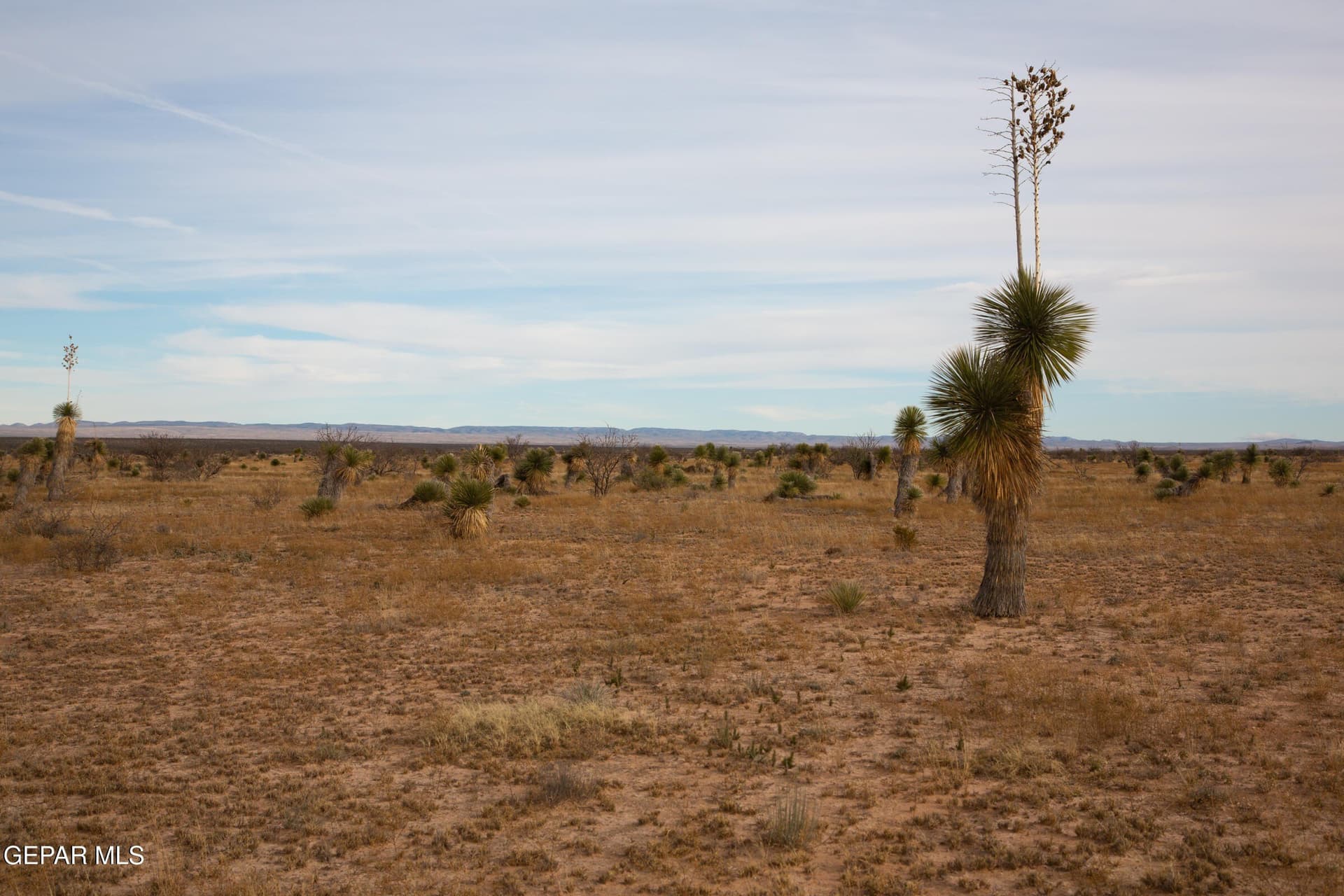 20.01 acres in Hudspeth County gallery image 2