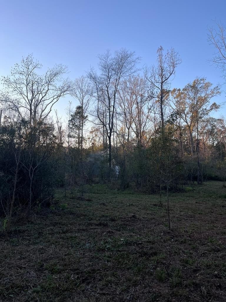 3 acres in Texas County - photo 13