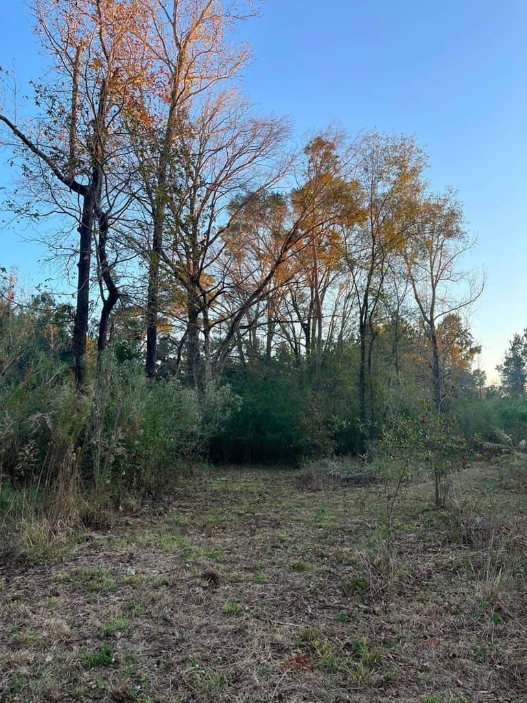3 acres in Texas County - photo 9
