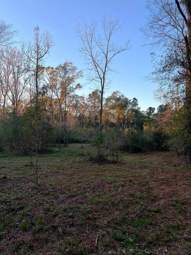 3 acres in Texas County - photo 11