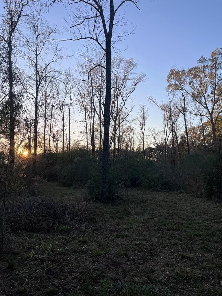 3 acres in Texas County - photo 14