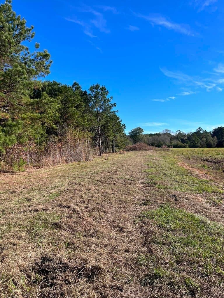 3 acres in Texas County - photo 6