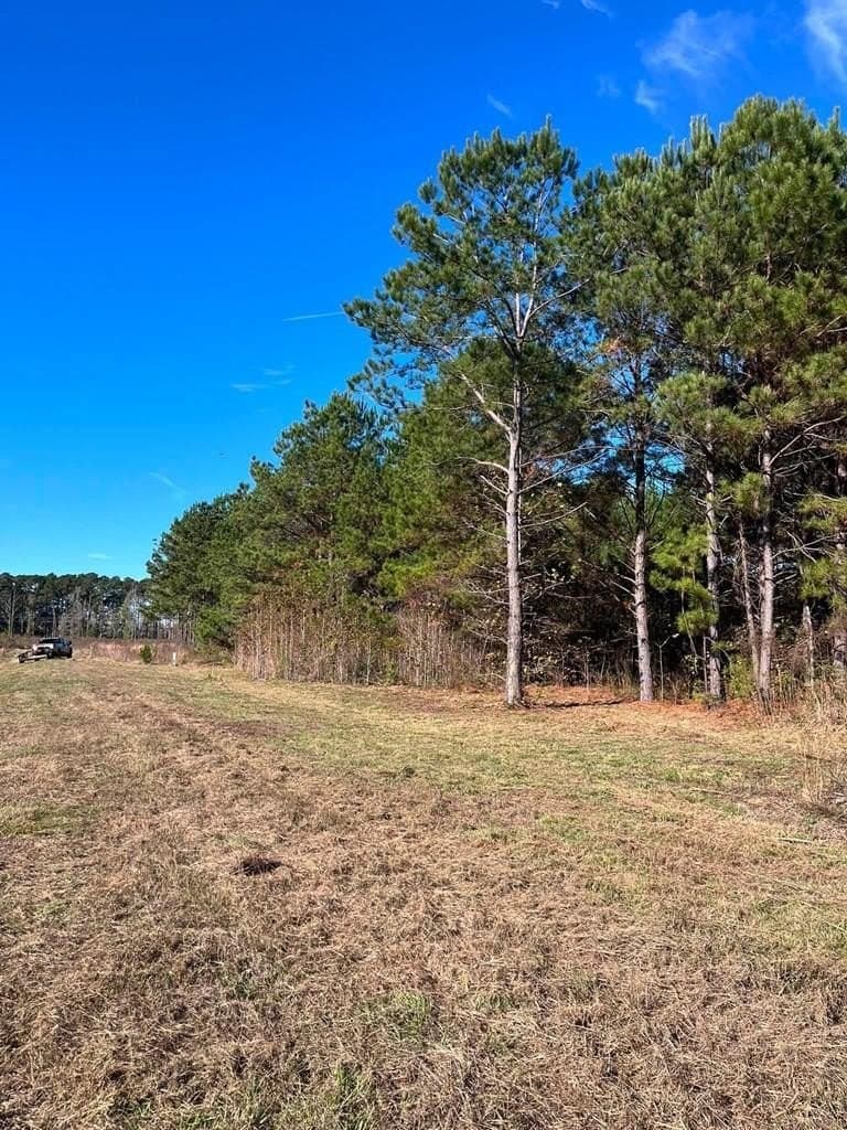 3 acres in Texas County featured view