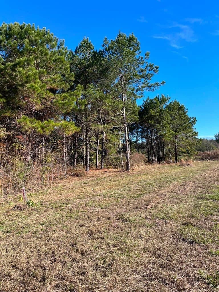 3 acres in Texas County - photo 7