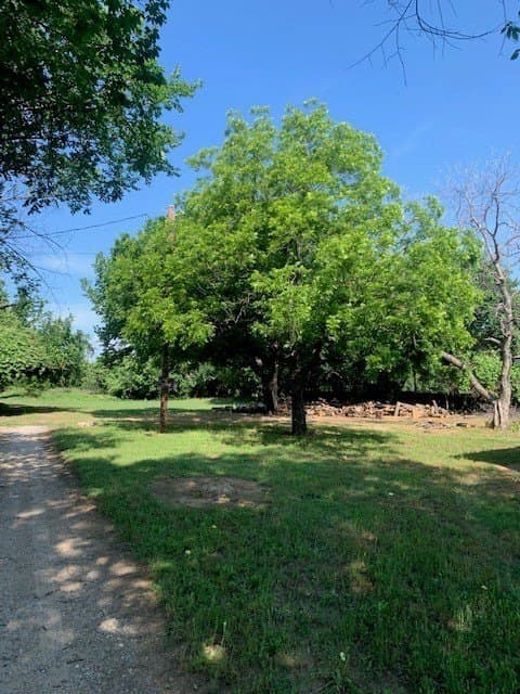 1.33 acres in Tarrant County gallery image 3