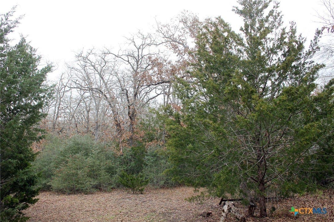 5.62 acres in Caldwell County gallery image 3