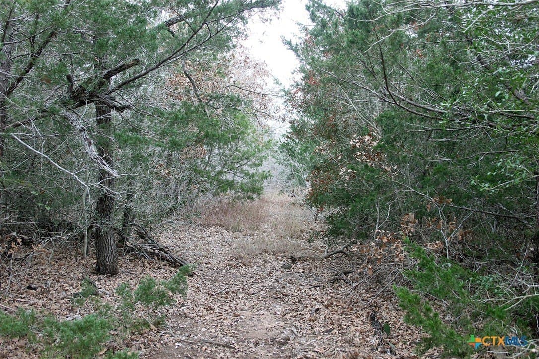 5.62 acres in Caldwell County - photo 6