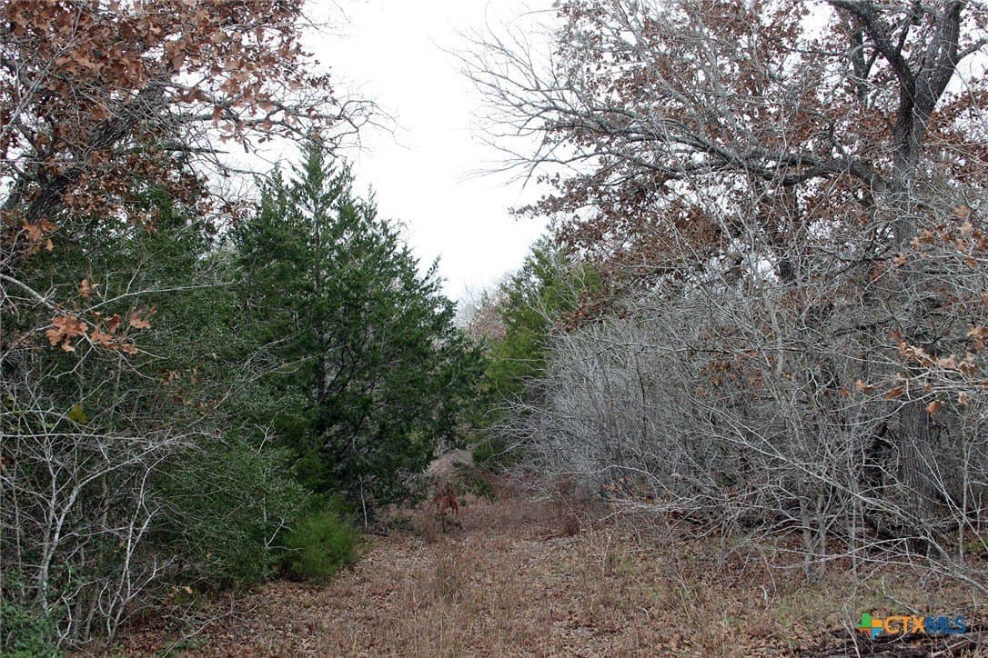 5.62 acres in Caldwell County - photo 9