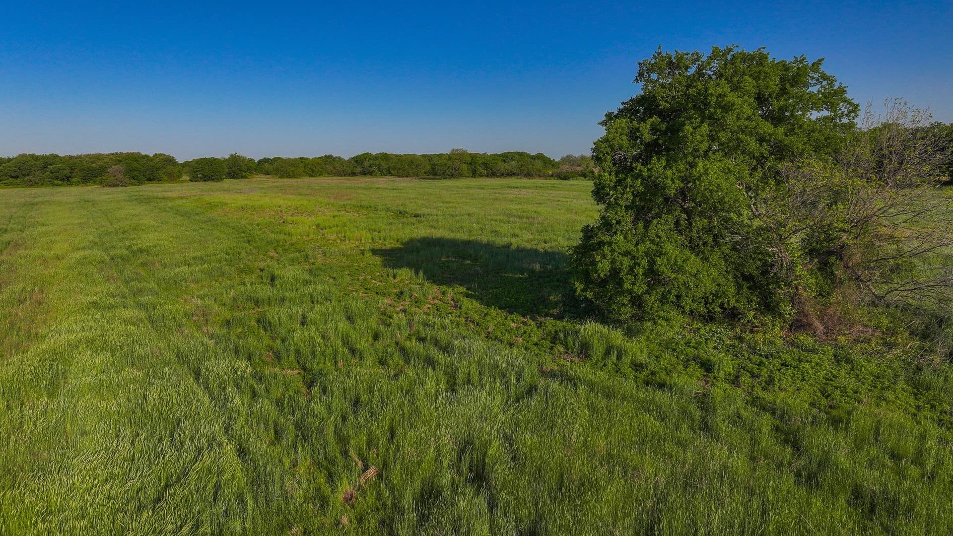 110 acres in Montague County - photo 8