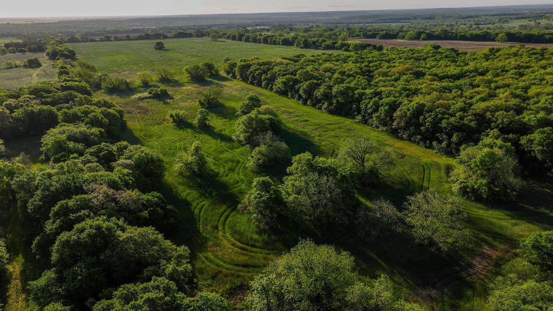 110 acres in Montague County - photo 11