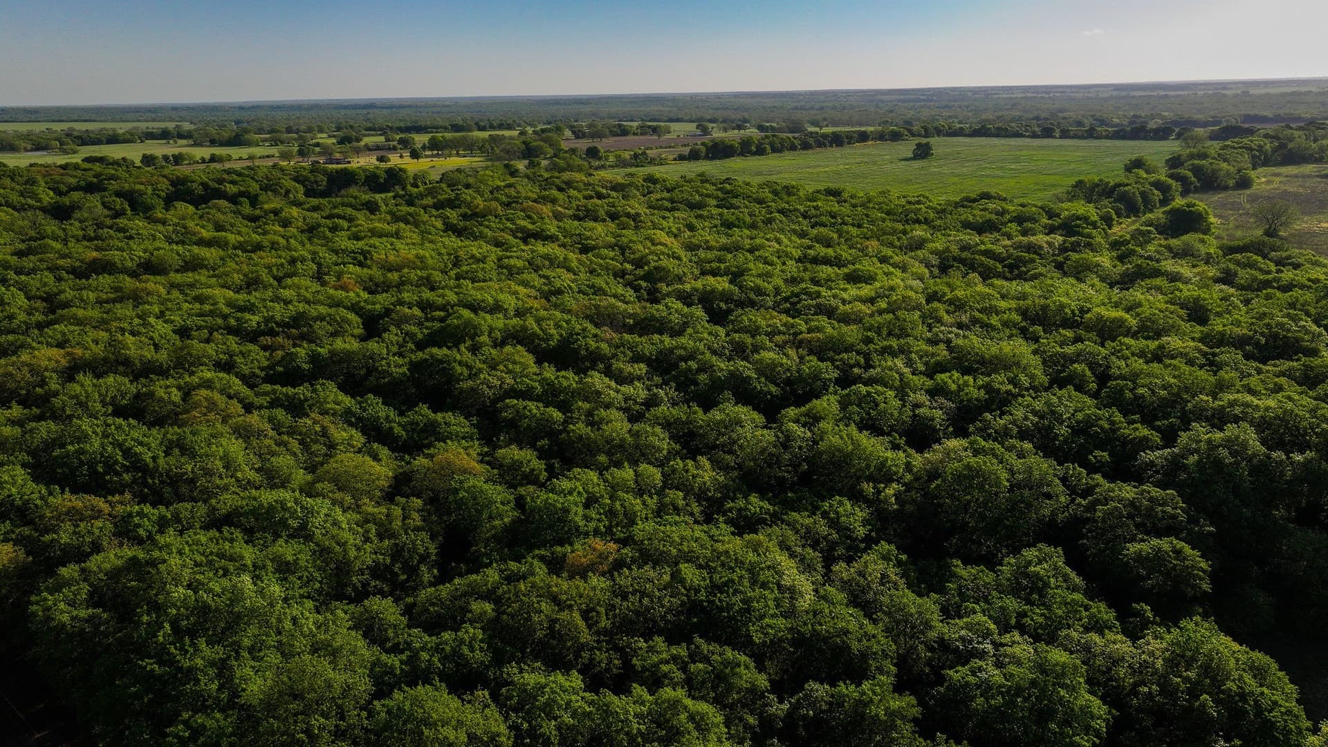 110 acres in Montague County - photo 10