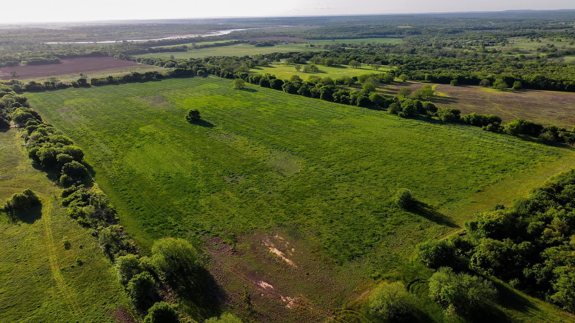 110 acres in Montague County featured view