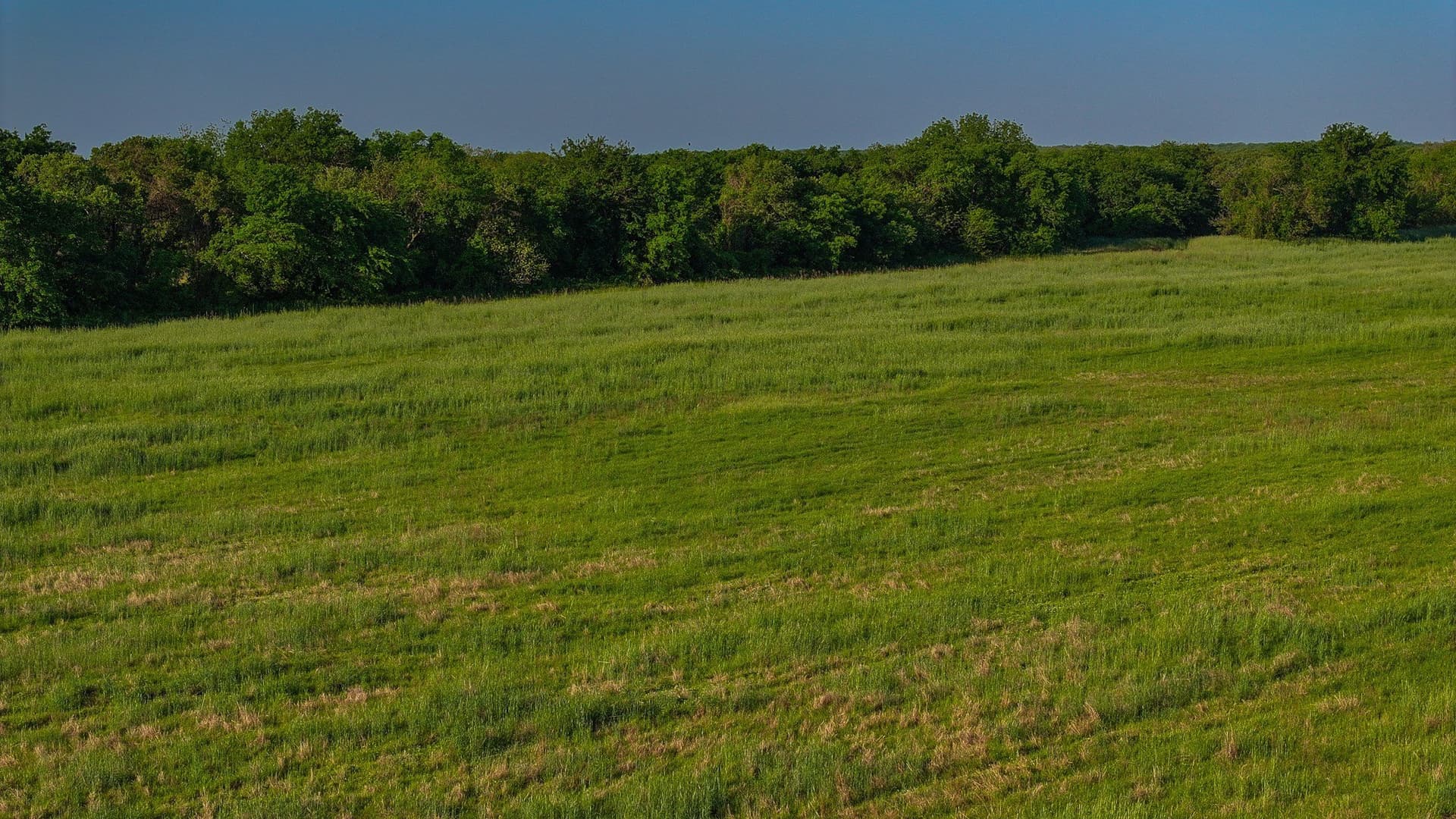 110 acres in Montague County - photo 29