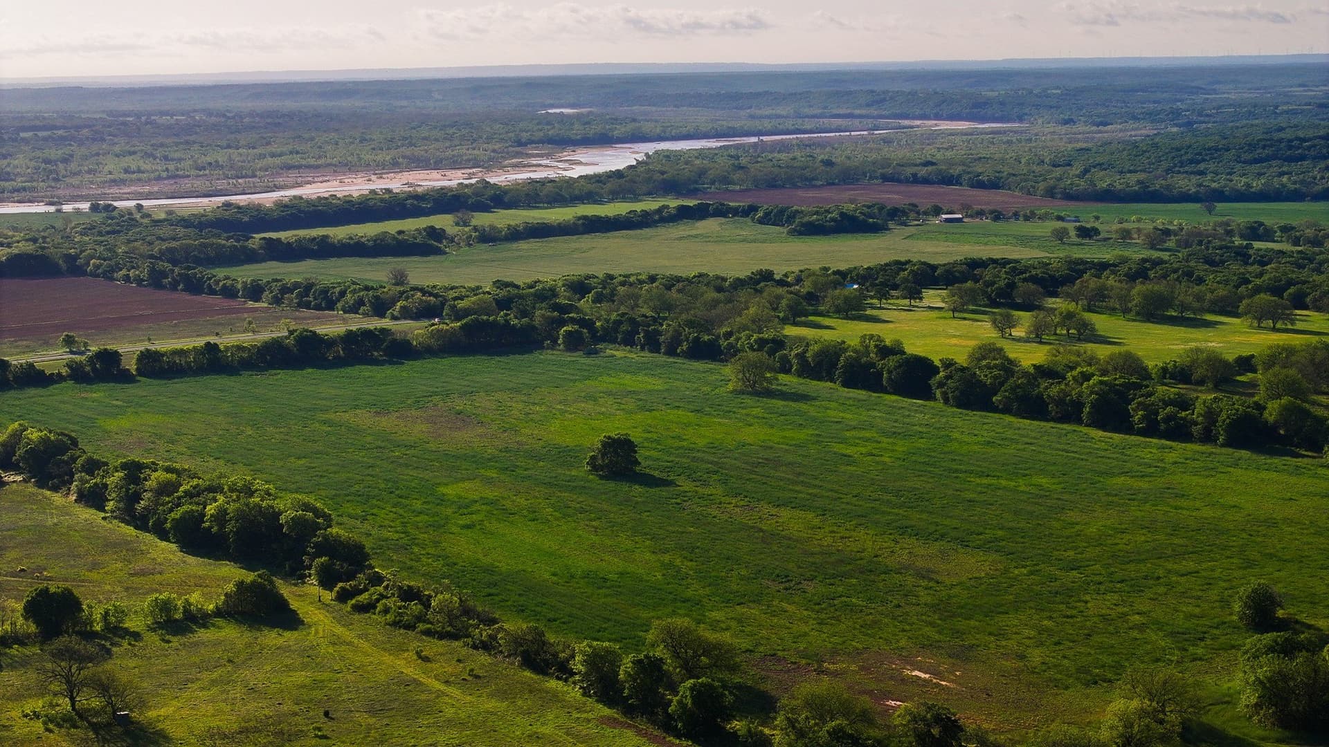 110 acres in Montague County - photo 30