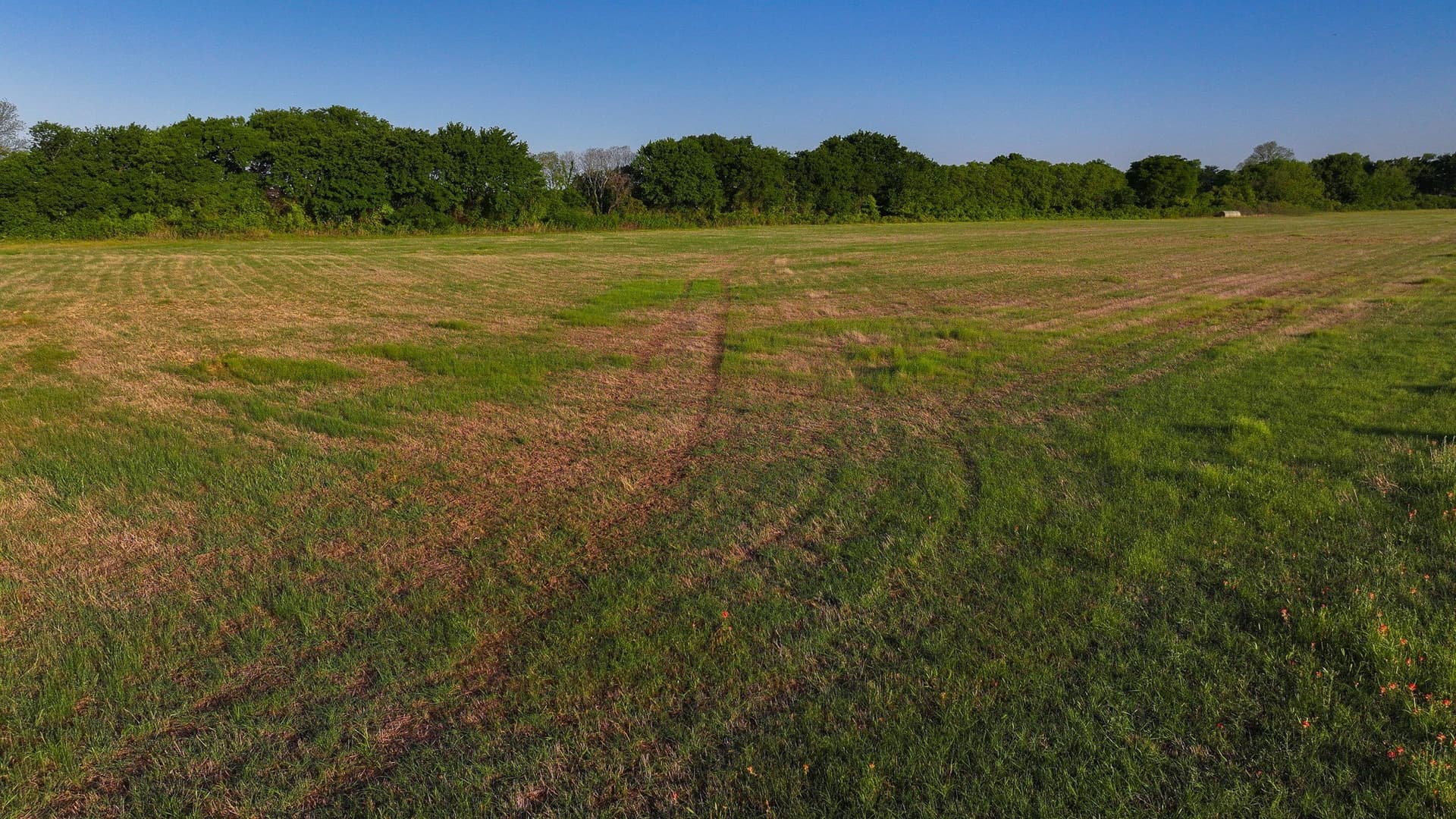 110 acres in Montague County - photo 14