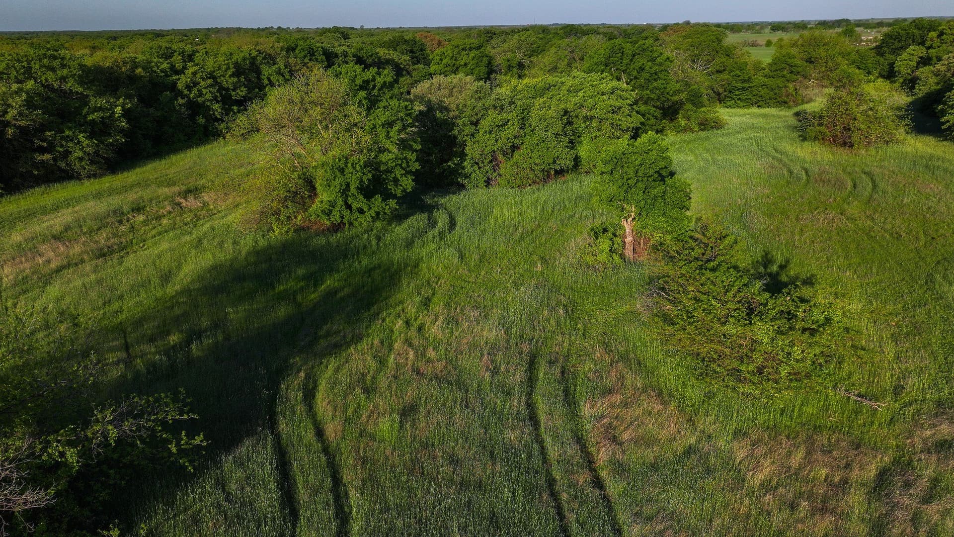 110 acres in Montague County - photo 25