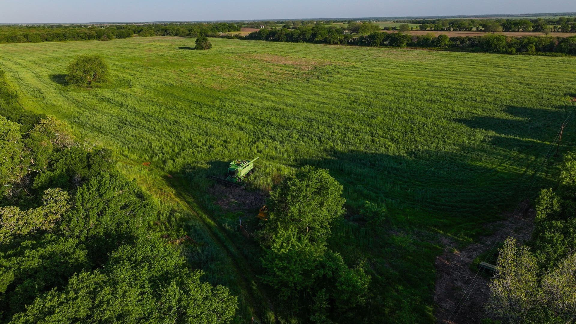 110 acres in Montague County