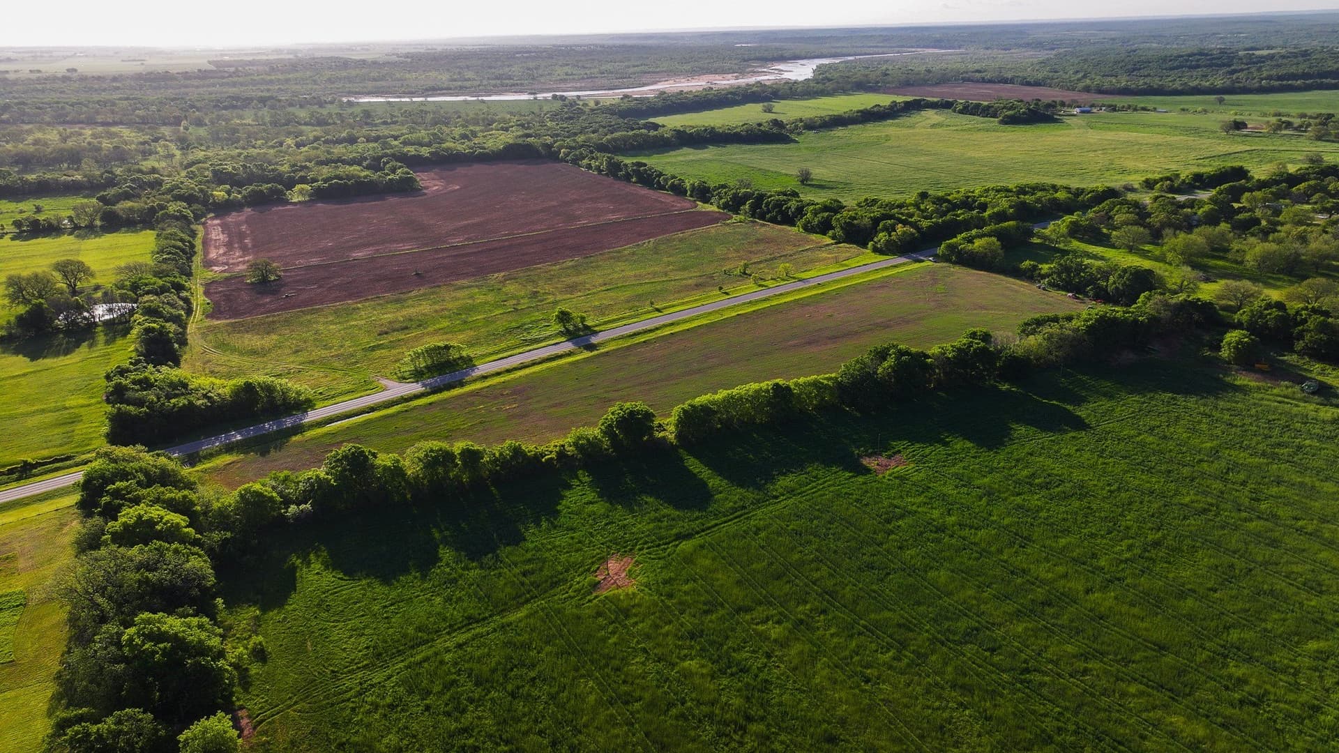 110 acres in Montague County gallery image 4