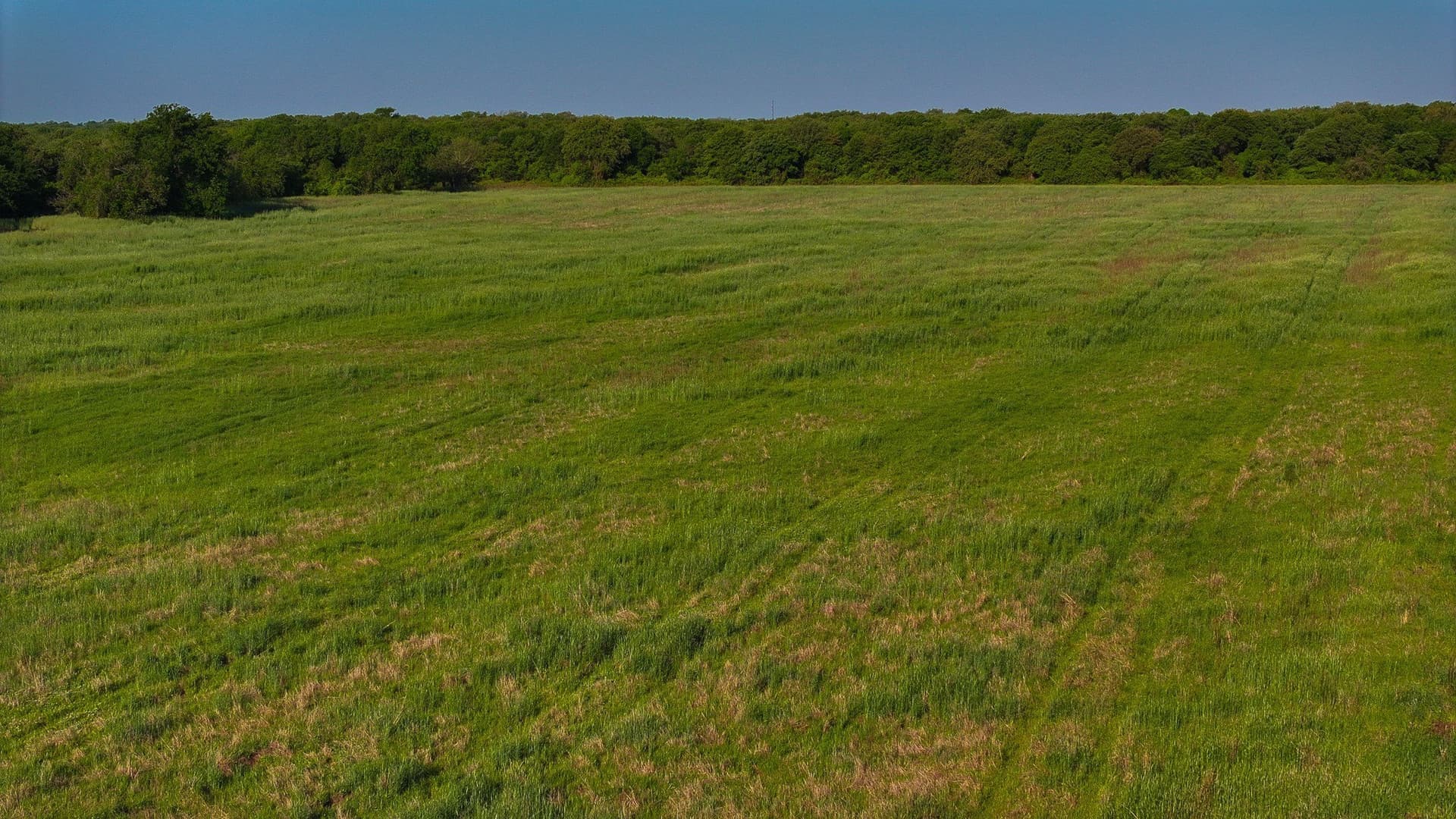 110 acres in Montague County - photo 12