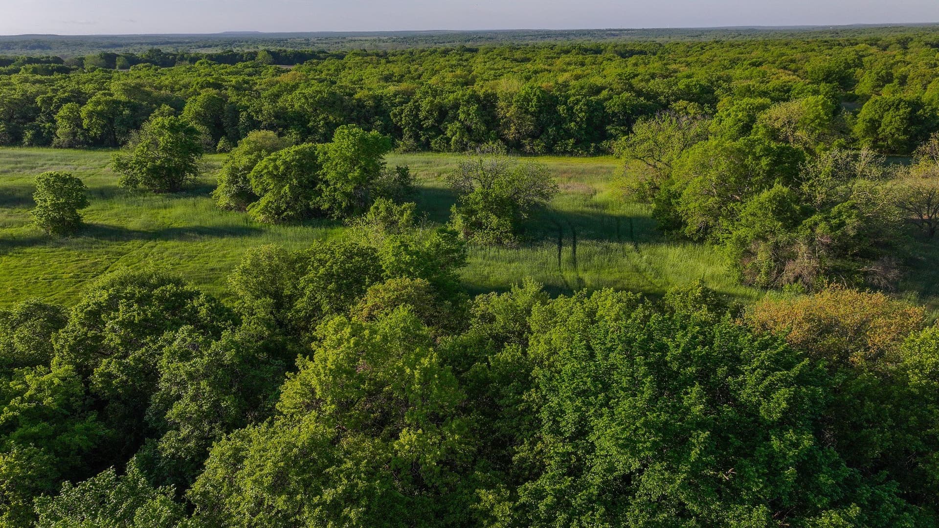 110 acres in Montague County - photo 26