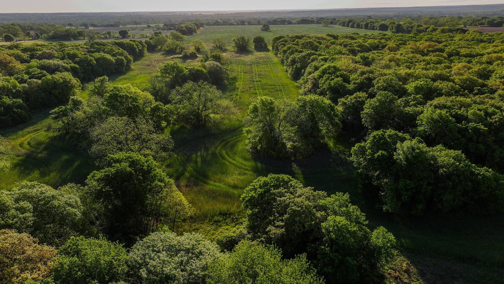 110 acres in Montague County gallery image 3