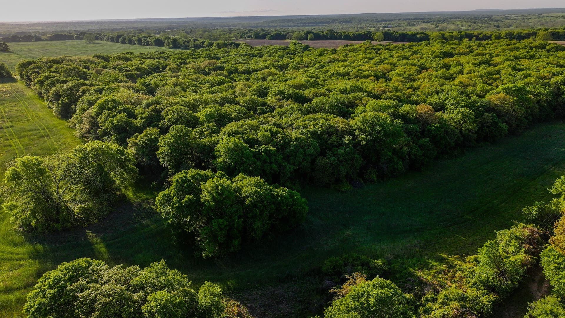 110 acres in Montague County - photo 6