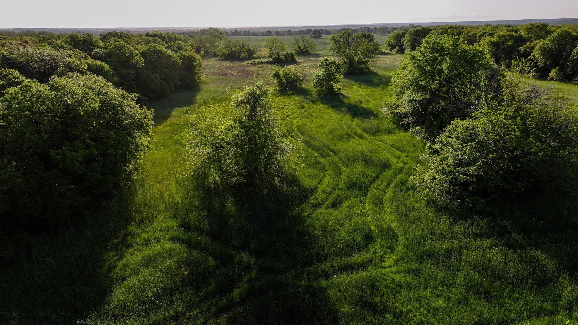 110 acres in Montague County - photo 16