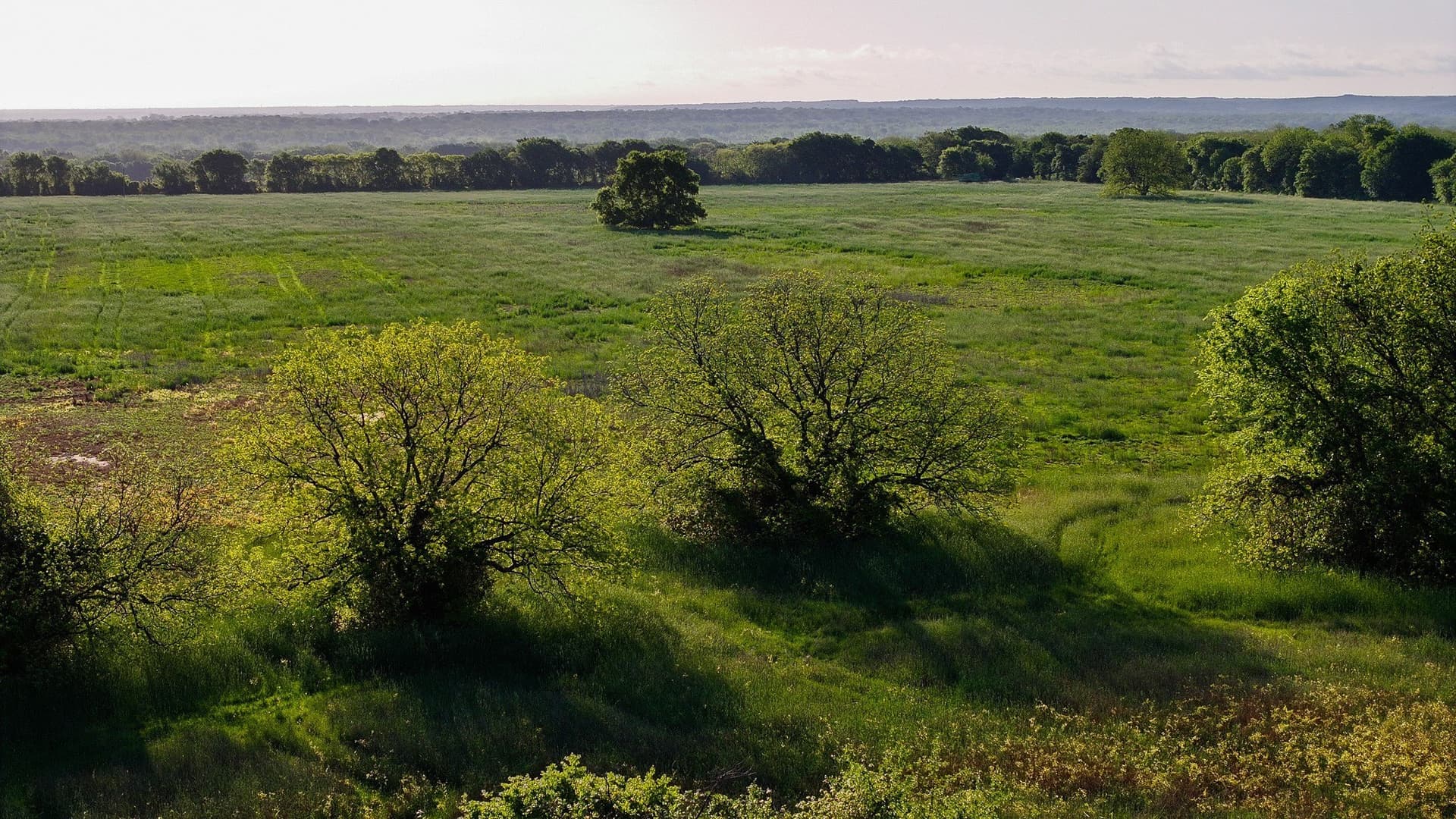 110 acres in Montague County - photo 17